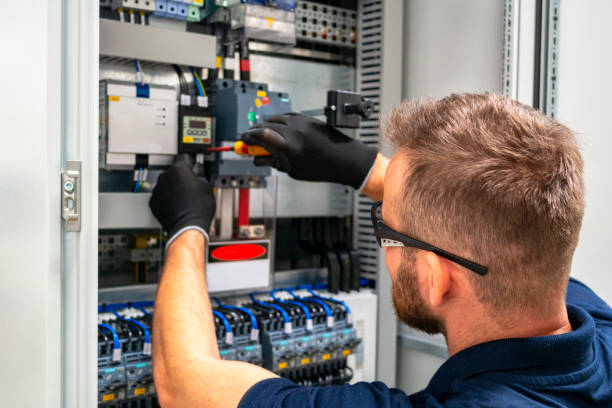 Best Affordable Electrician  in Rancho Alegre, TX