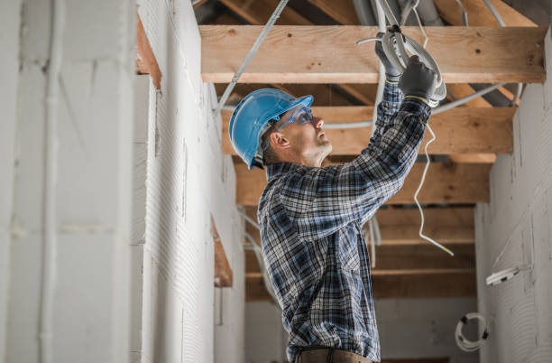 Best Electrician for Home Renovation  in Rancho Alegre, TX