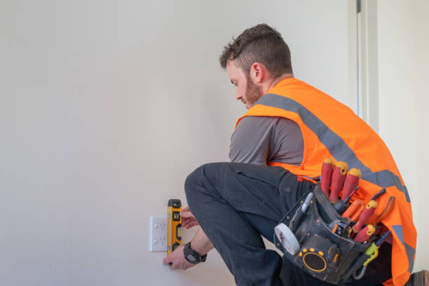 Best Electric Panel Repair  in Rancho Alegre, TX