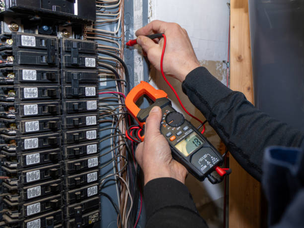 Best Home Electrical Repair  in Rancho Alegre, TX