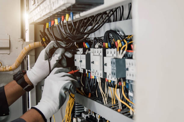 Best Local Electrician Companies  in Rancho Alegre, TX